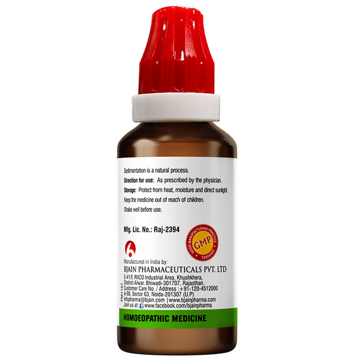 Bjain Homeopathy Carica Papaya Mother Tincture Q
