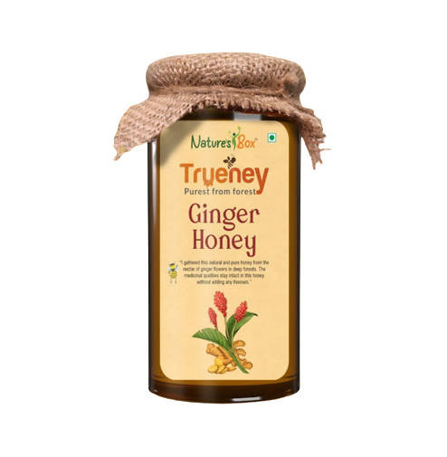 Buy Nature's Box Trueney Ginger Honey from DrMediCart