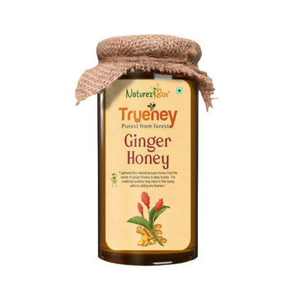 Buy Nature's Box Trueney Ginger Honey from DrMediCart
