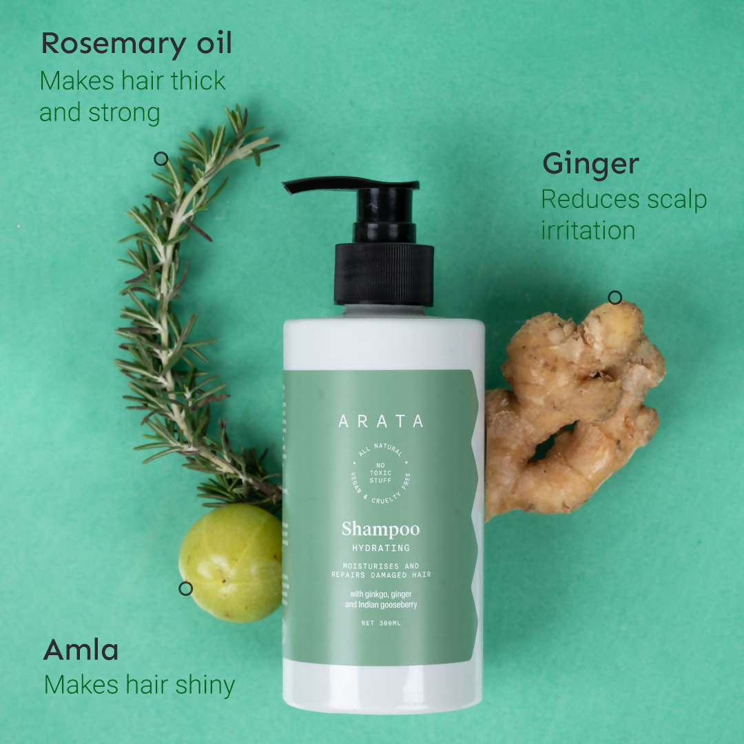 Arata SLS & Paraben Free Hydrating Shampoo With Ginkgo, Ginger & Indian Gooseberry