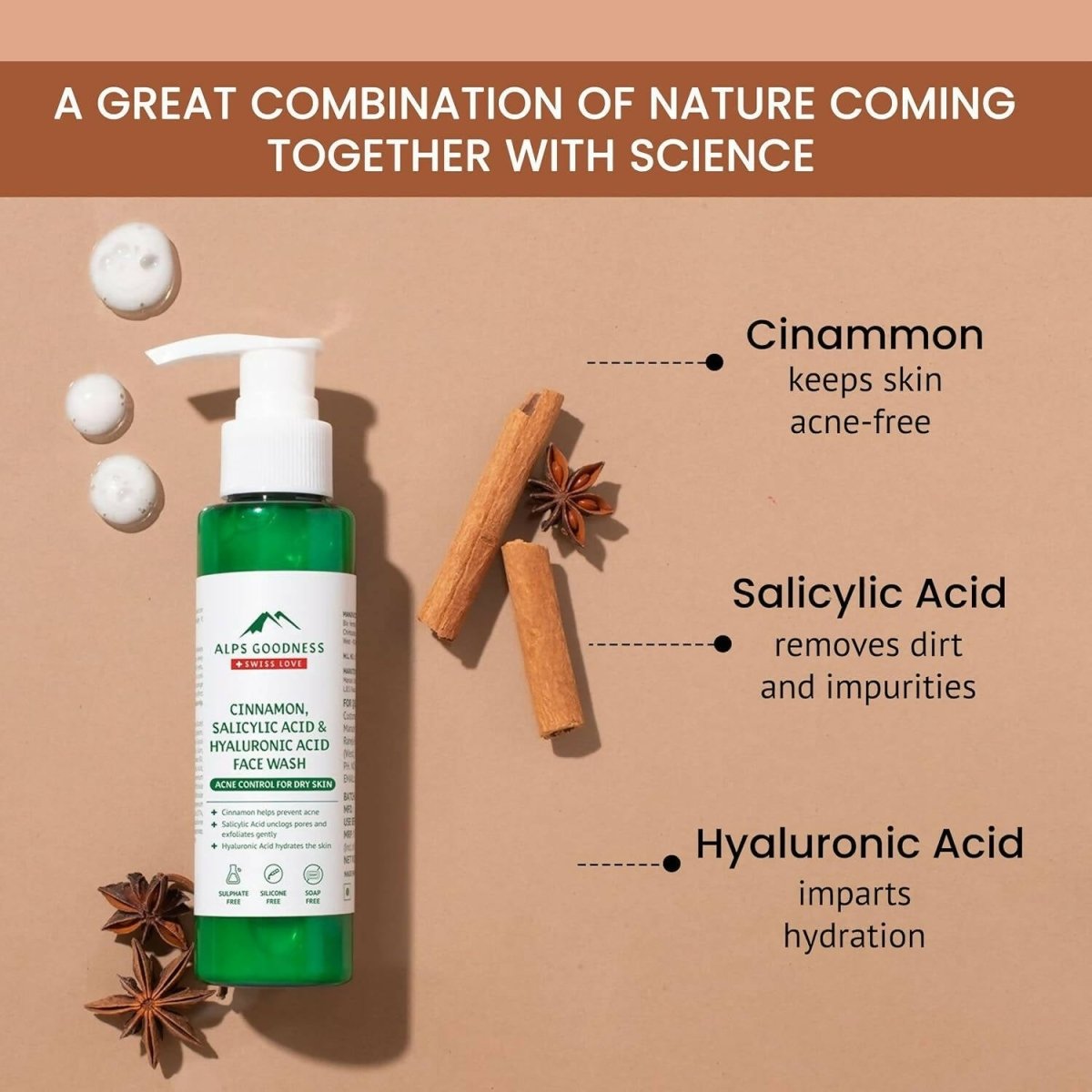 Alps Goodness Cinnamon, Salicylic Acid & Hyaluronic Acid Facewash - DrMediCart