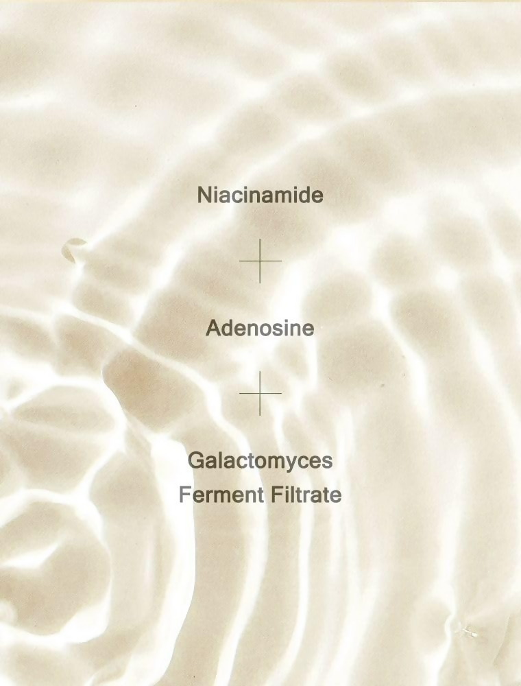 Mizon Skin Power Original First Essence