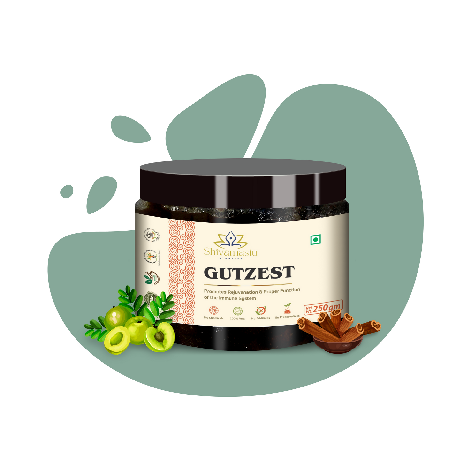 Shivamastu Ayurveda Gutzest Chyawanprash
