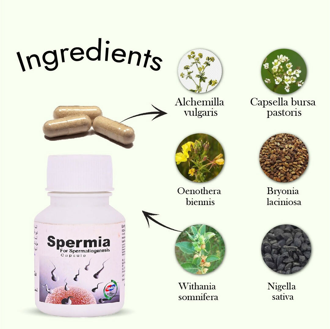 Hashmi Spermia Capsules – May Support Energy Levels, Vitality, and Physical Strength in Men