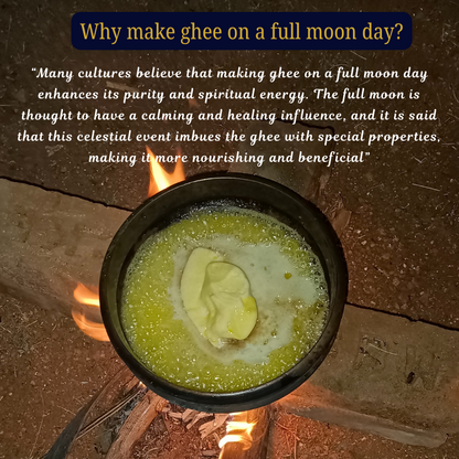 Tatsat Full Moon Day Ghee From Forest Gazing Amruth Mahal A2 Cows | Indian Hallikar Cow Ghee, Pure A2 Ghee, Natural & Healthy, Non-GMO