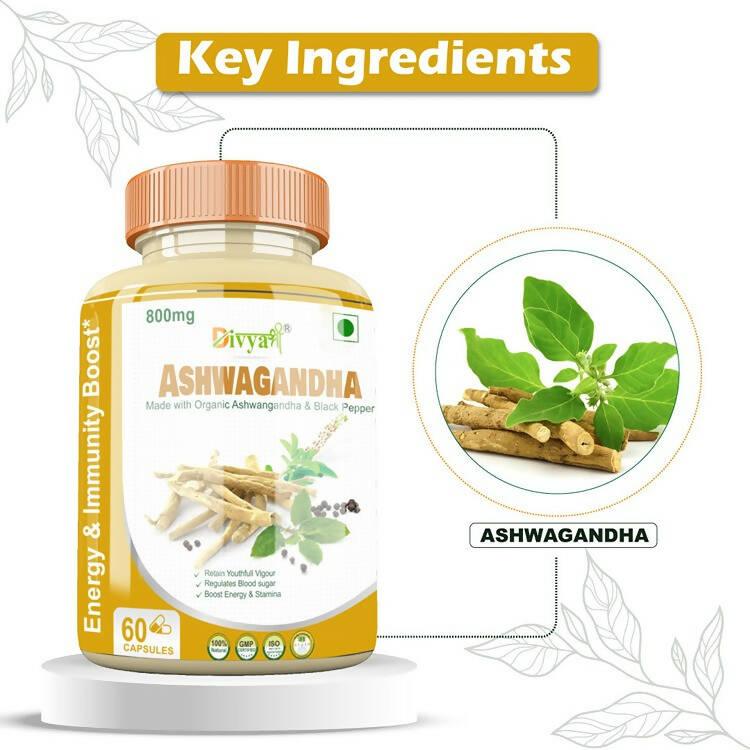 Divya Shree Ashwagandha Capsules