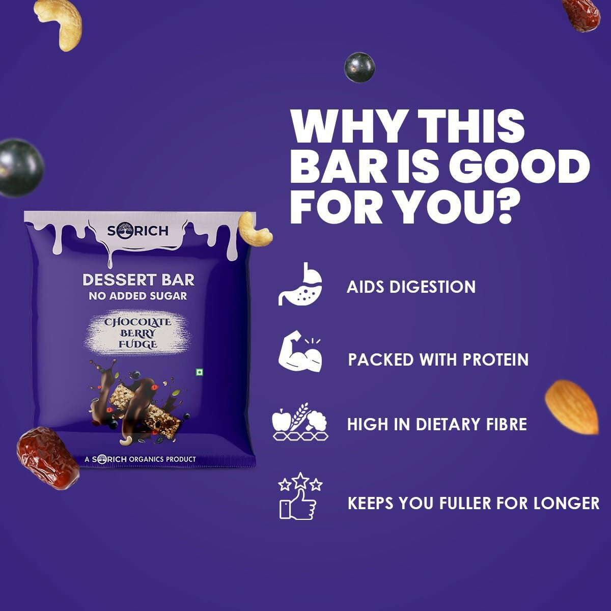 Sorich Organics Dessert Protein Mini Bars Chocolate Berry Fudge