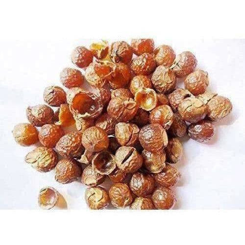 Buy Kunkudu kaayalu / Soap Nuts (without Seed) from DrMediCart, Ship from India to USA