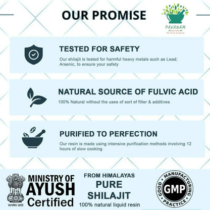 Pavanam Ayurveda Pure Himalayan Sj Resin Form