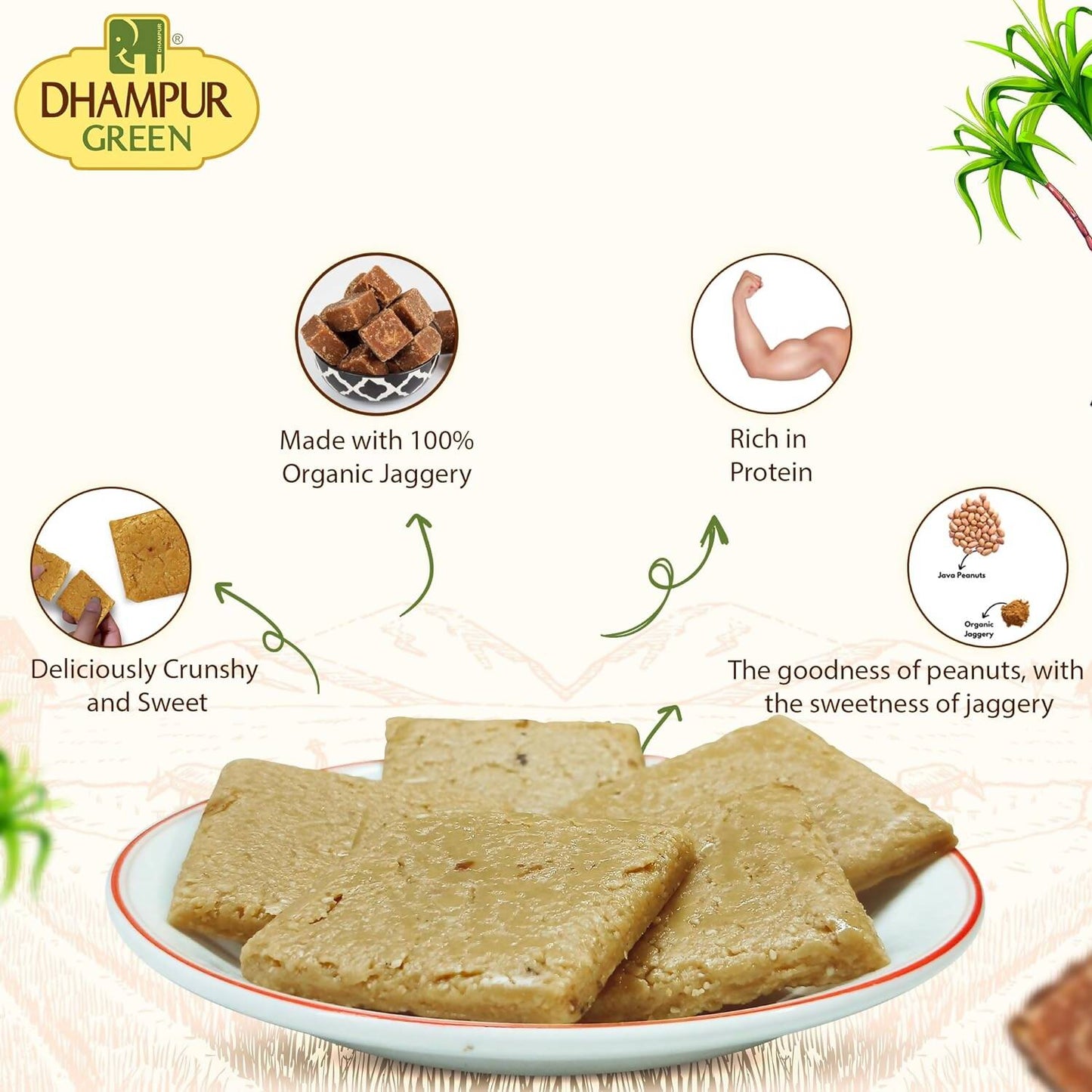 Dhampur Green Peanut Energy Bar