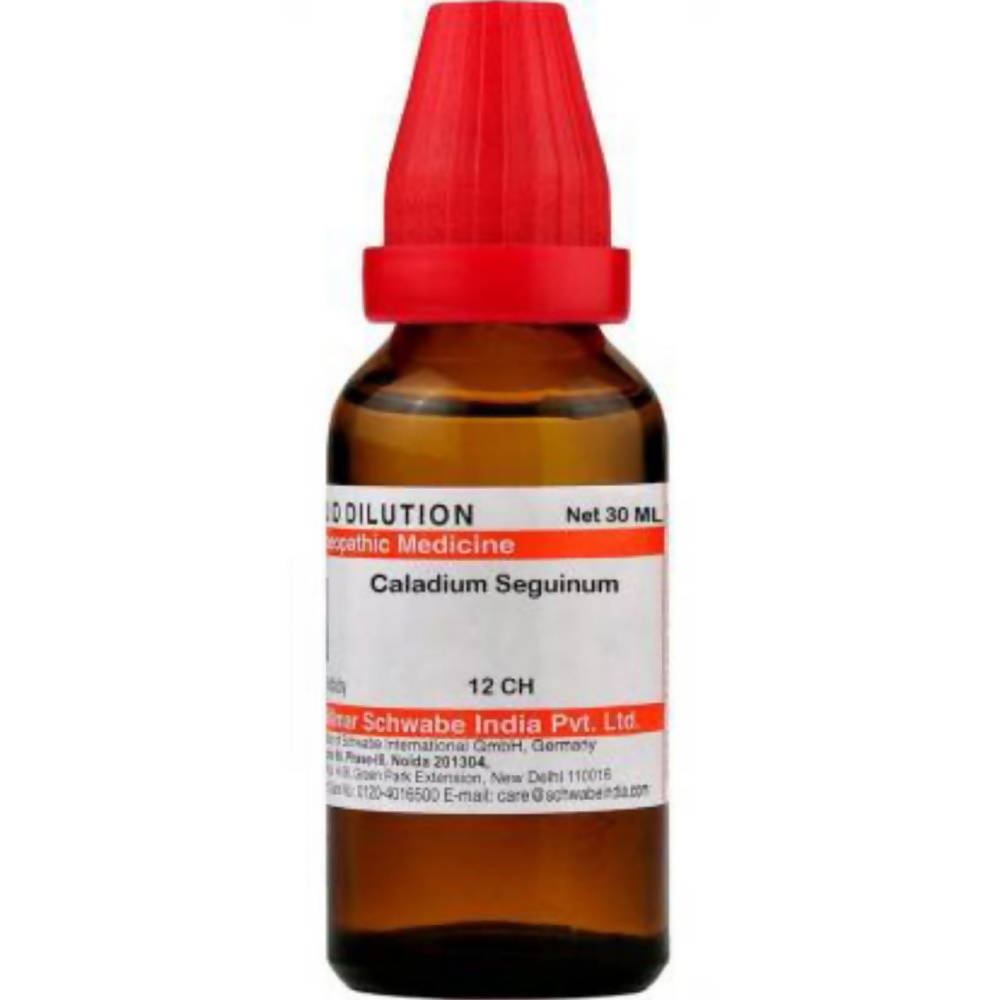 Dr. Willmar Schwabe India Caladium Seguinum Dilution