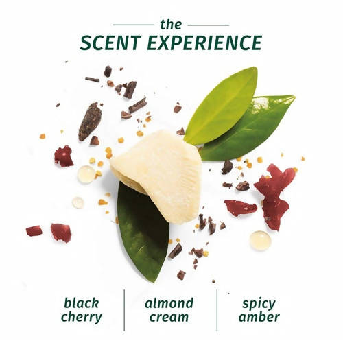 Herbal Essences Strength Whipped Cocoa Butter Conditioner - DrMediCart
