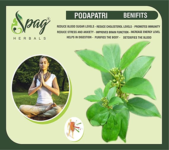 Spag Herbals Podapatri Powder