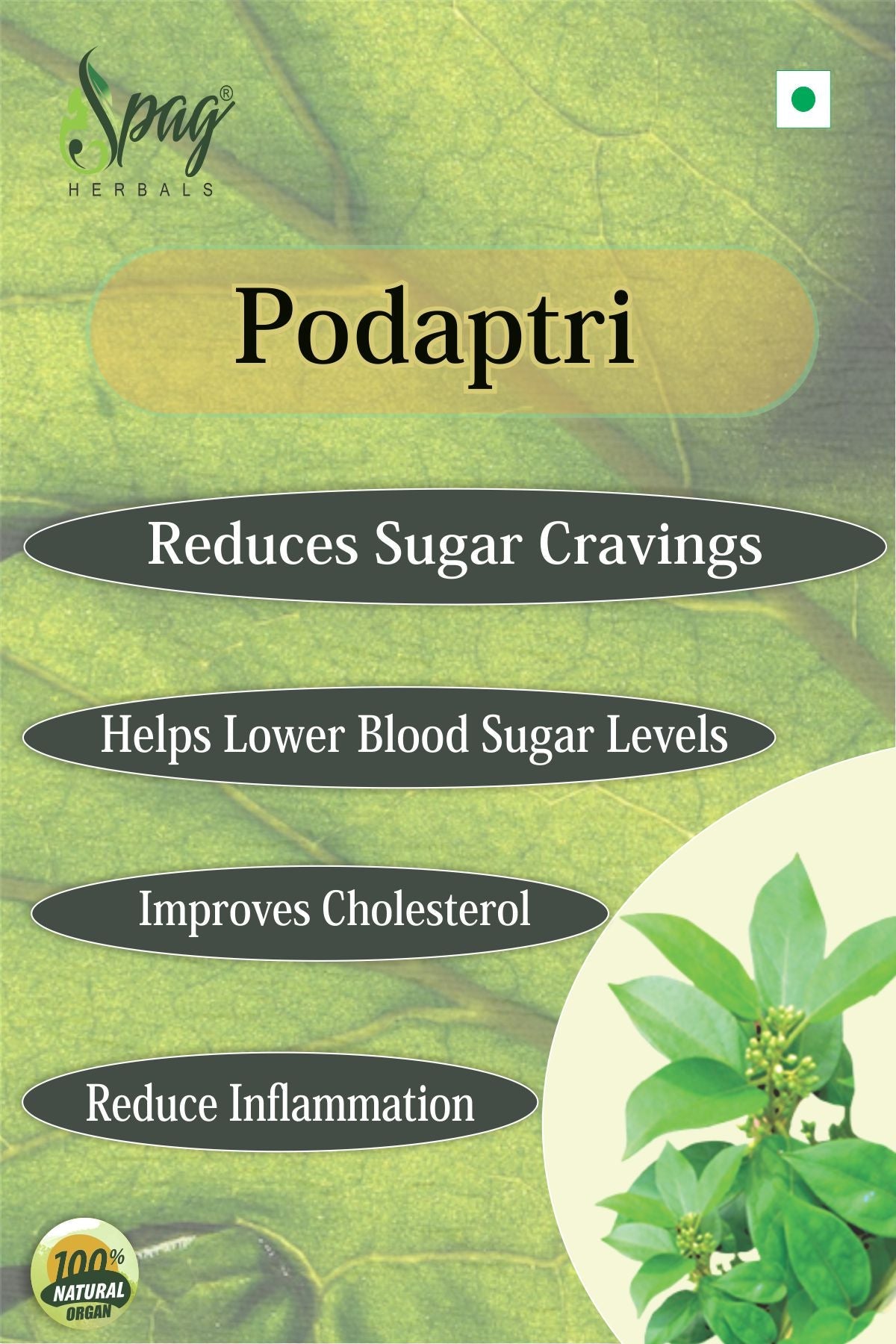 Spag Herbals Podapatri Powder