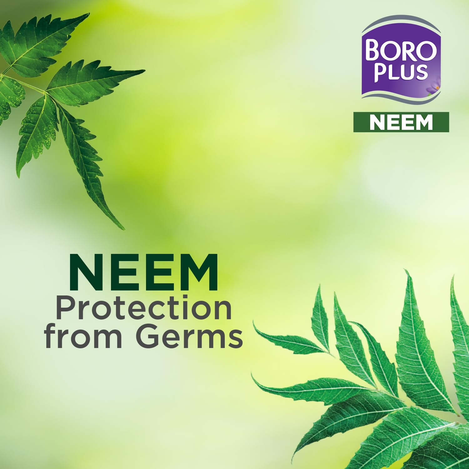 BoroPlus Antiseptic And Moisturising Bathing Neem Soap With Neem, Tea Tree, Aloe Vera & Shea Butter