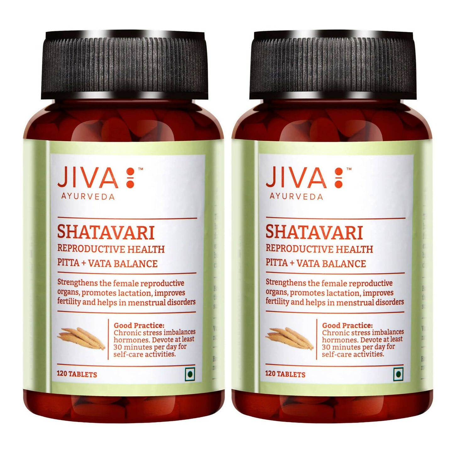 Jiva Ayurveda Shatavari Tablets