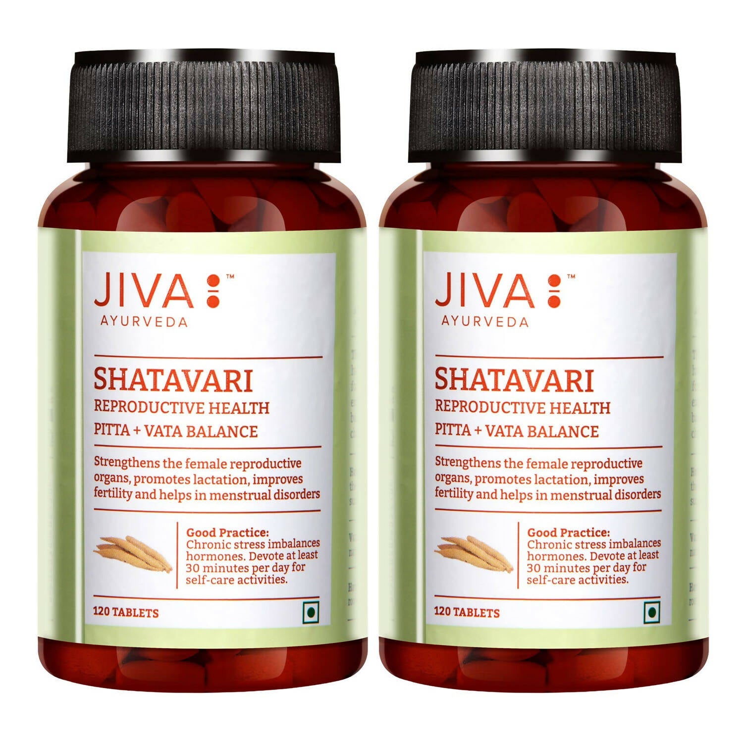 Jiva Ayurveda Shatavari Tablets