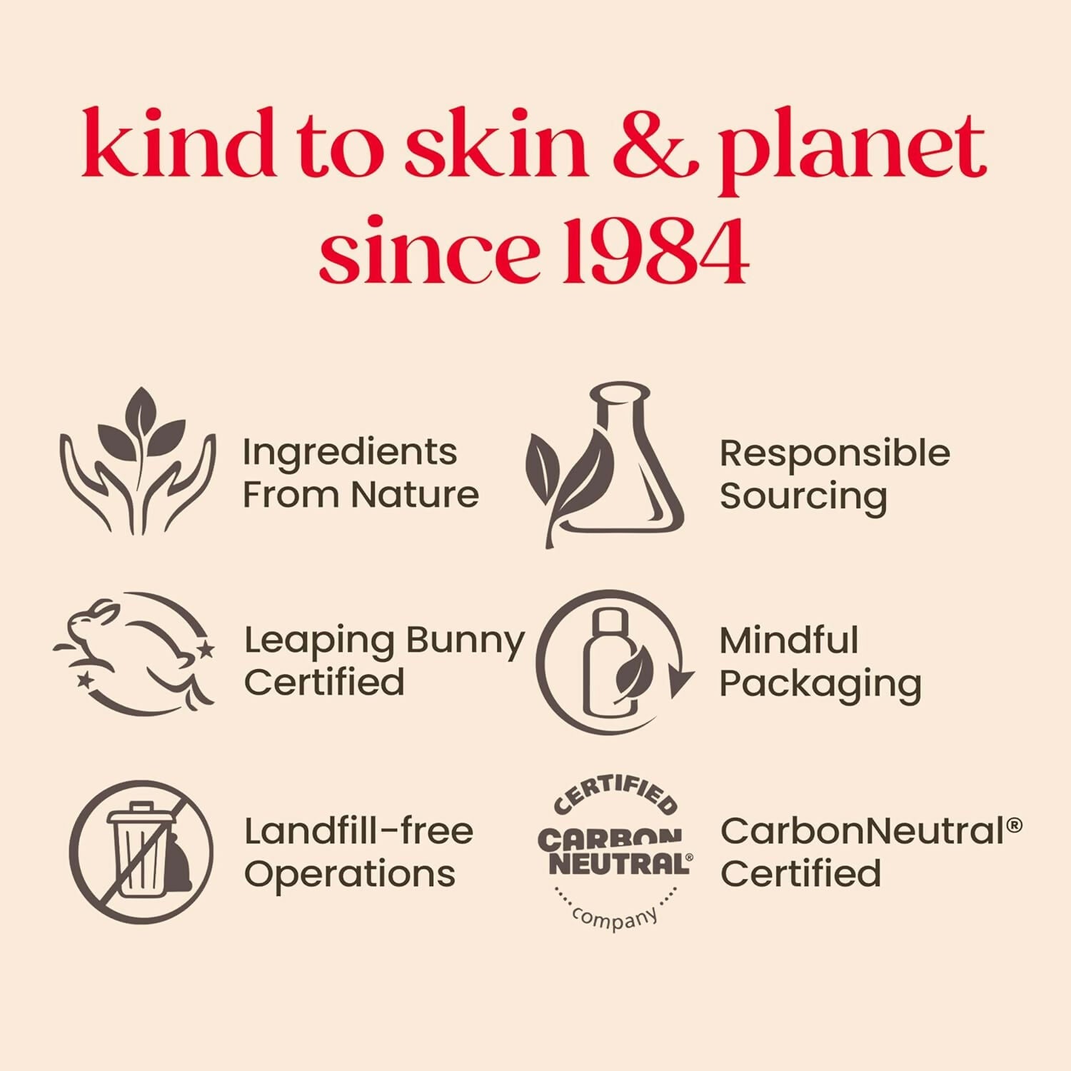 Burt's Bees Tinted Lip Balm - Rose