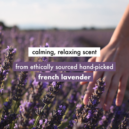 Love Beauty And Planet Argan Oil And Lavender Sulphate Free Shampoo For Dry & Frizzy Hair