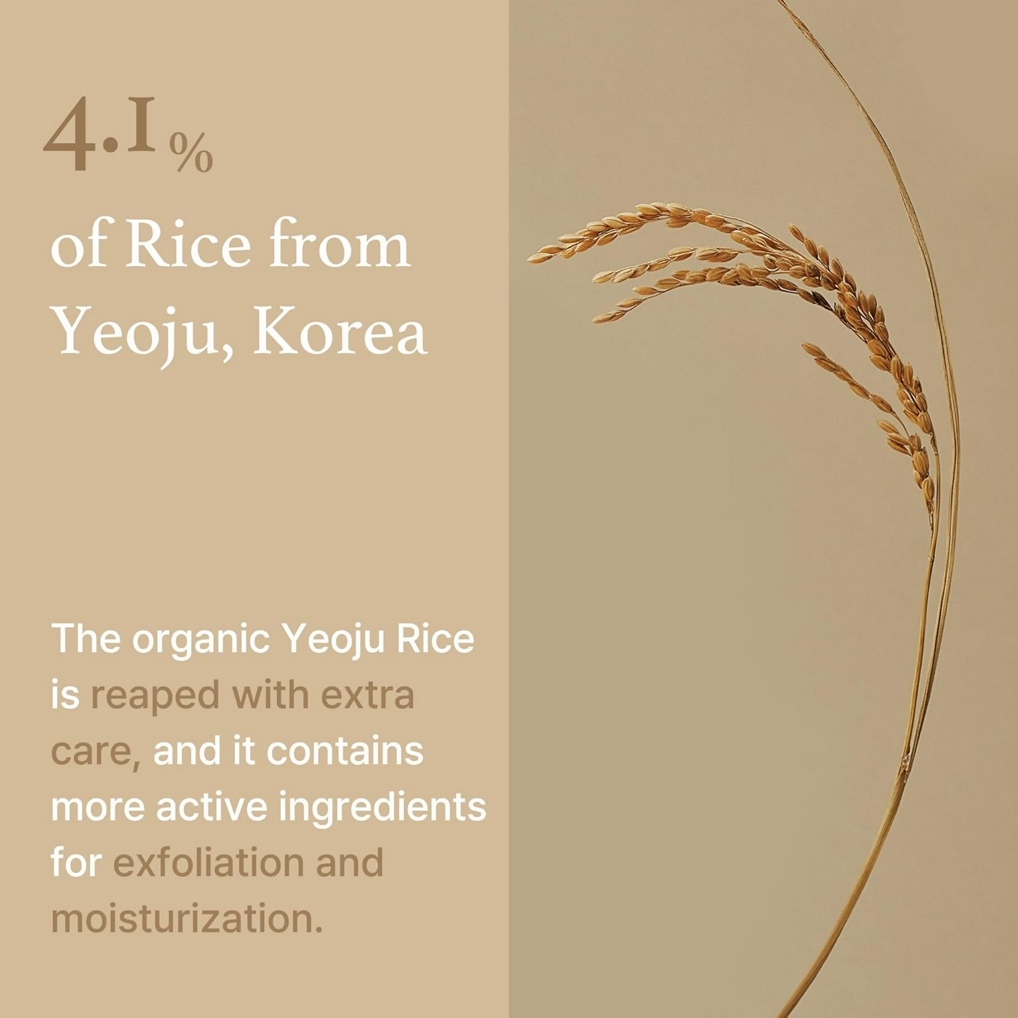 I'm From Korea Rice Mask