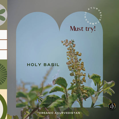 Organic AyurveBUDNEn Tulsi Powder