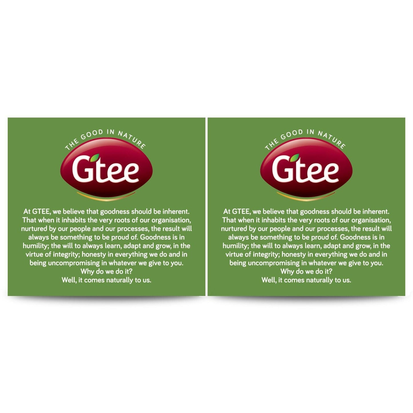 Gtee Green Tea Bags - Regular