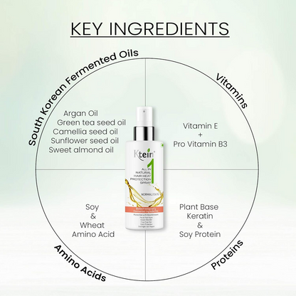 Ktein All in 1 Natural Hair Heat Protection Spray with Fermented Argan Oil