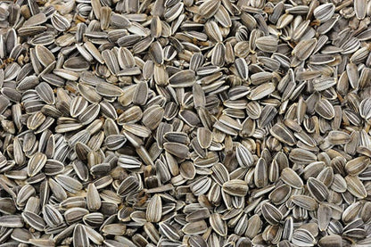 Freshon Organic Sunflower Seeds