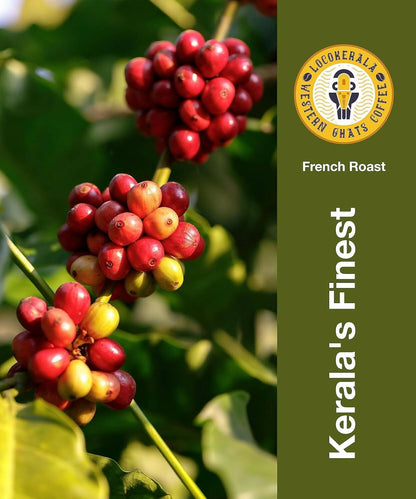 LocoKerala Western Ghats French Roast Arabica Whole Bean Coffee