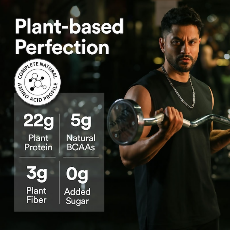 Wellbeing Nutrition Organic Plant Protein Isolate Dark Chocolate Hazelnut, 3B CFU Probiotics
