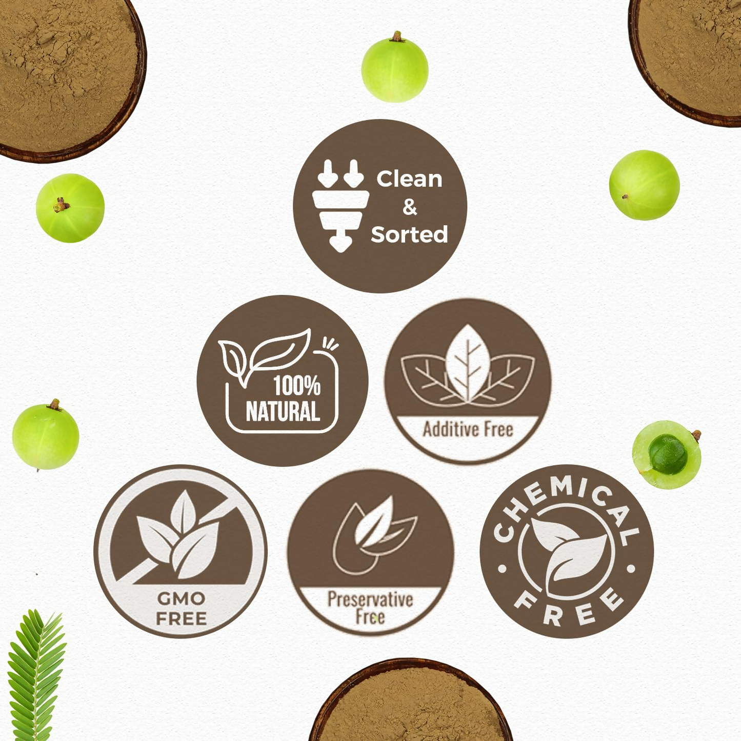 Carmel Organics Amla Fruit Powder