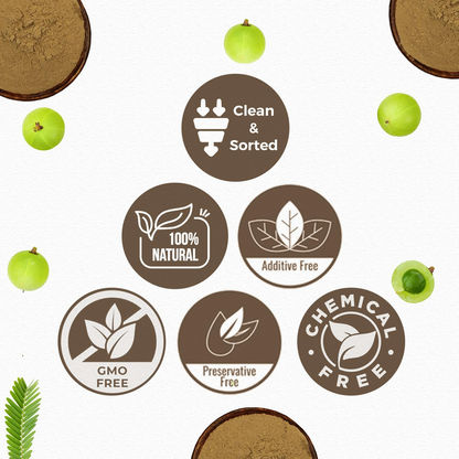 Carmel Organics Amla Fruit Powder