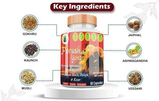 Buy Divya Shree Porush Yovan Capsules from DrMediCart, Ship from India to USA
