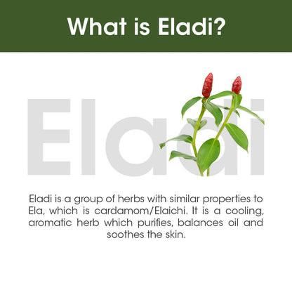 TAC - The Ayurveda Co. Eladi Serum Sheet Mask with Neem - DrMediCart