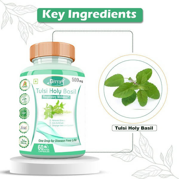 Divya Shree Tulsi Holy Basil Veggie Capsules
