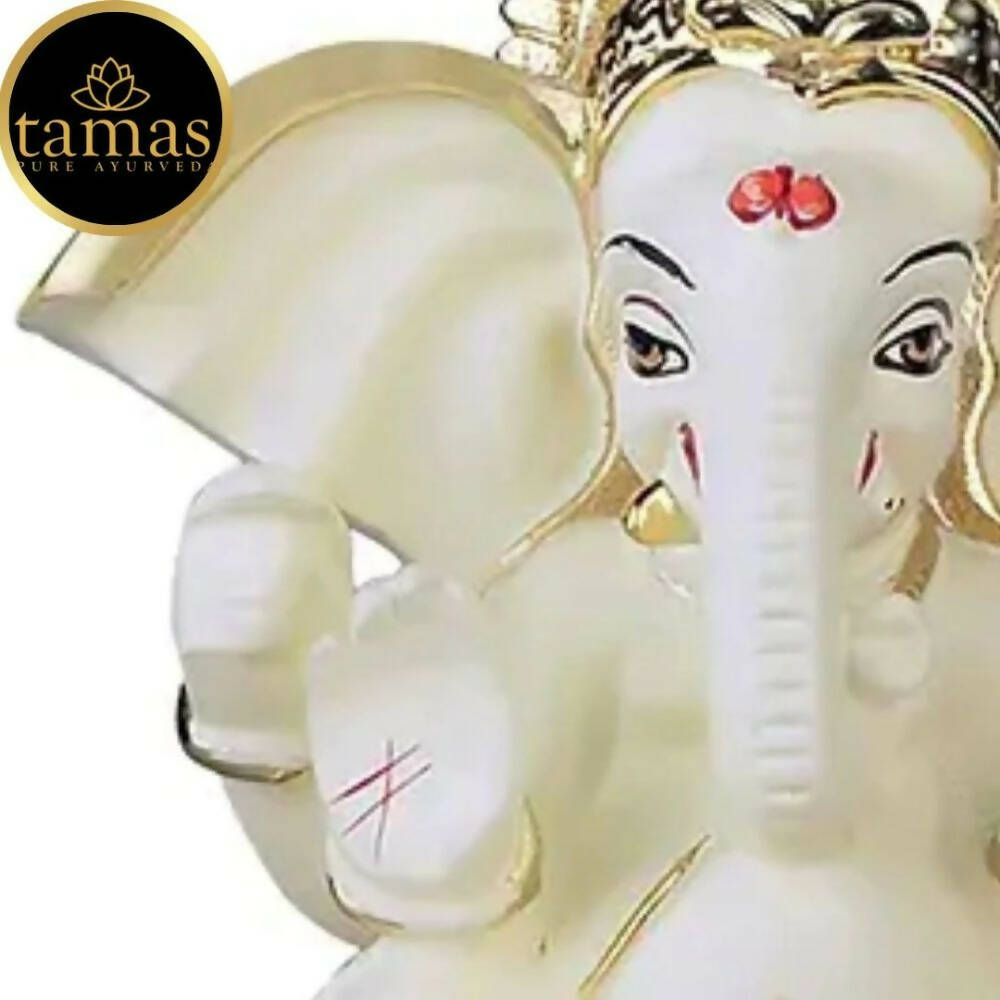 Tamas Gold - Polished Gaj Karna Ganesh Idol Off White & Gold Color - Drmedicart