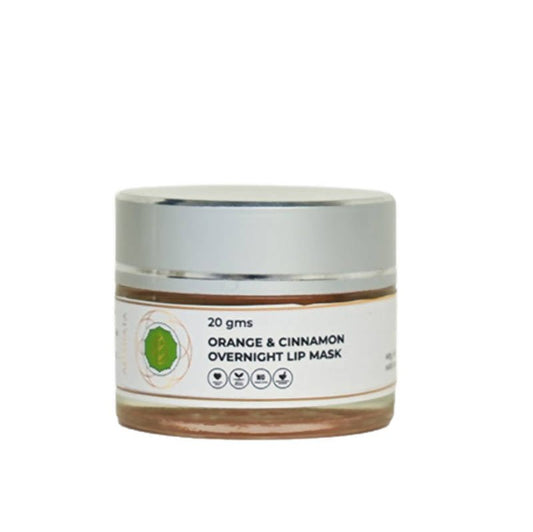 Anahata Orange & Cinnamon Overnight Lip Mask - DrMediCart