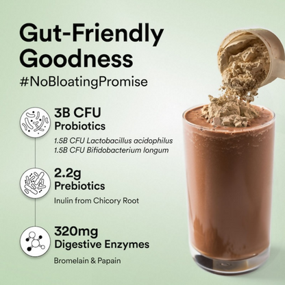 Wellbeing Nutrition Organic Plant Protein Isolate Dark Chocolate Hazelnut, 3B CFU Probiotics