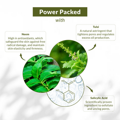 Lotus Botanicals Neem, Tulsi & Salicylic Acid Gentle Foaming Face Wash