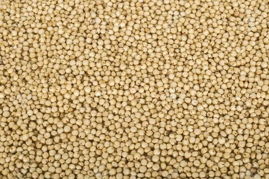 Accept Organic Whole Jowar