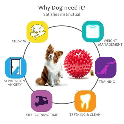 The Dogs Company Natural Rubber Spiked Ball Dog Chew Toy