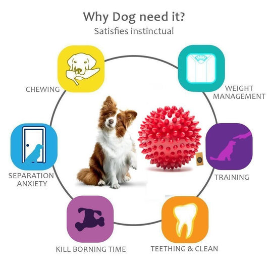 The Dogs Company Natural Rubber Spiked Ball Dog Chew Toy