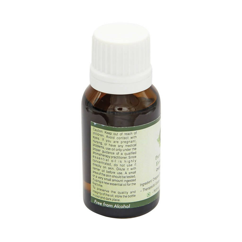 R V Essential Pure Oregano Essential Oil