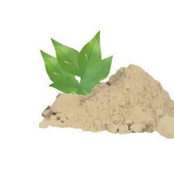 Buy Hebsur Herbals Baelpatra Powder from DrMediCart, Ship from India to USA