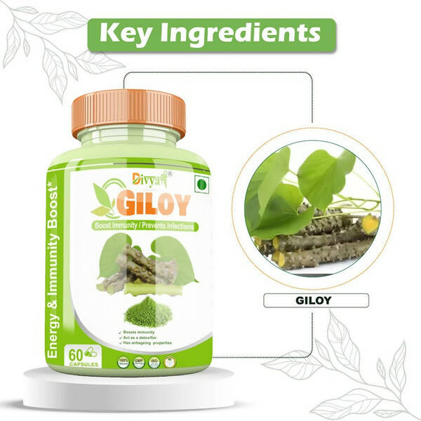 Divya Shree Giloy Capsules