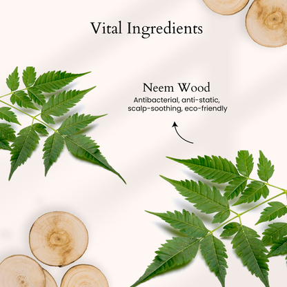 Panash Prasadana Neem Hair Comb