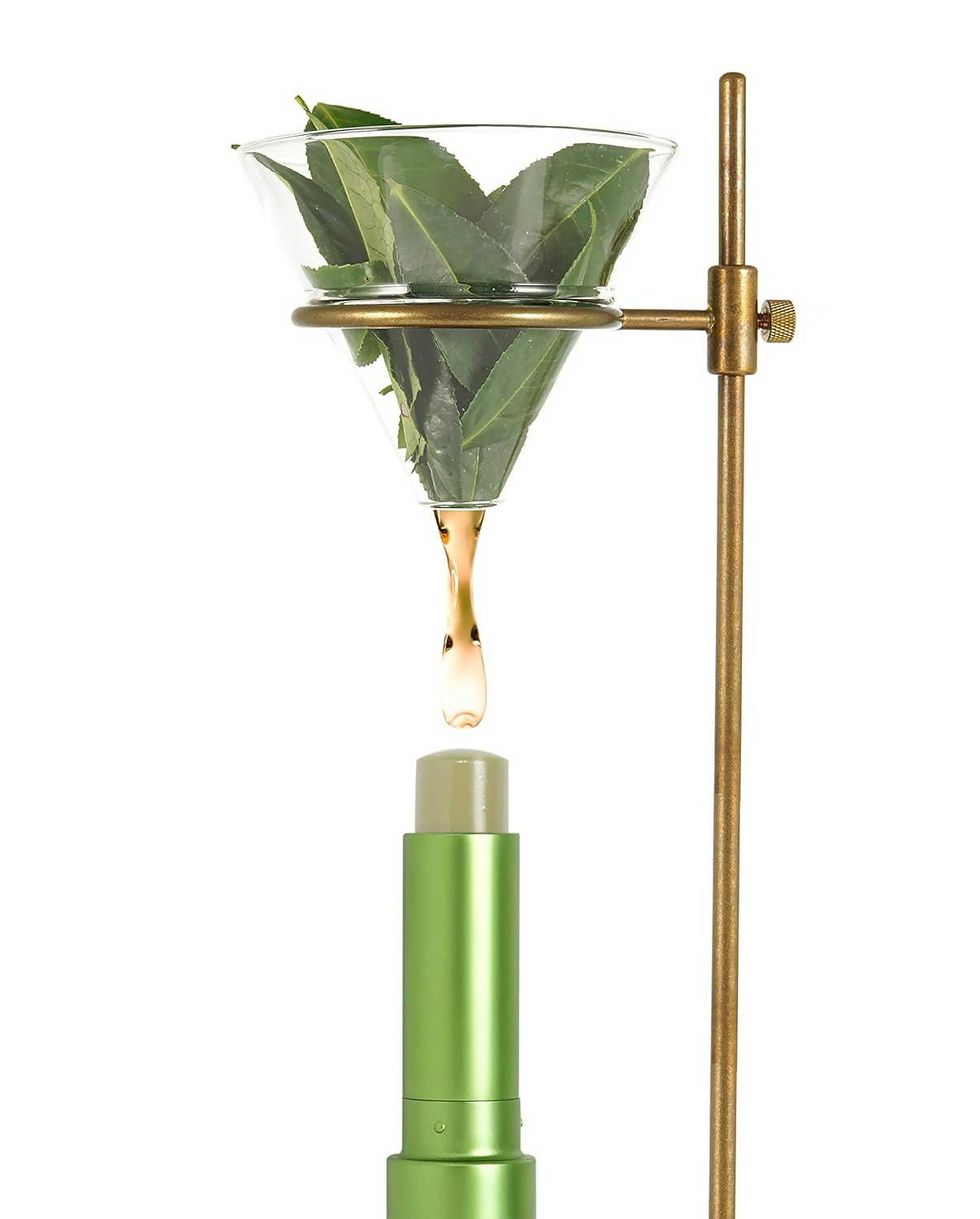 Teaology Matcha Lip Balm