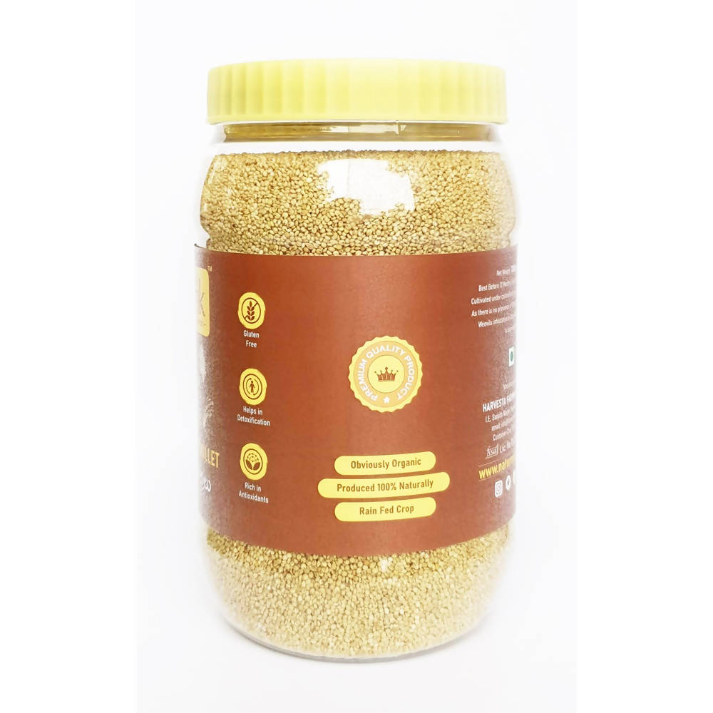 Buy Nature's Trunk Brown Top Millets (Andu Korralu) from DrMediCart, Ship from India to USA