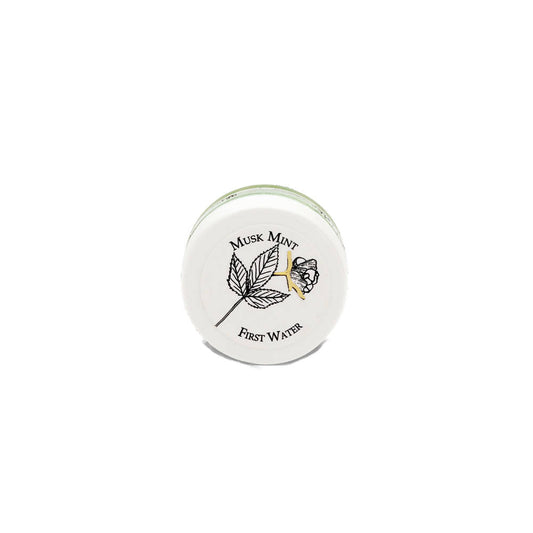 Buy First Water Musk Mint Solid Perfume from DrMediCart, Ship from India to USA