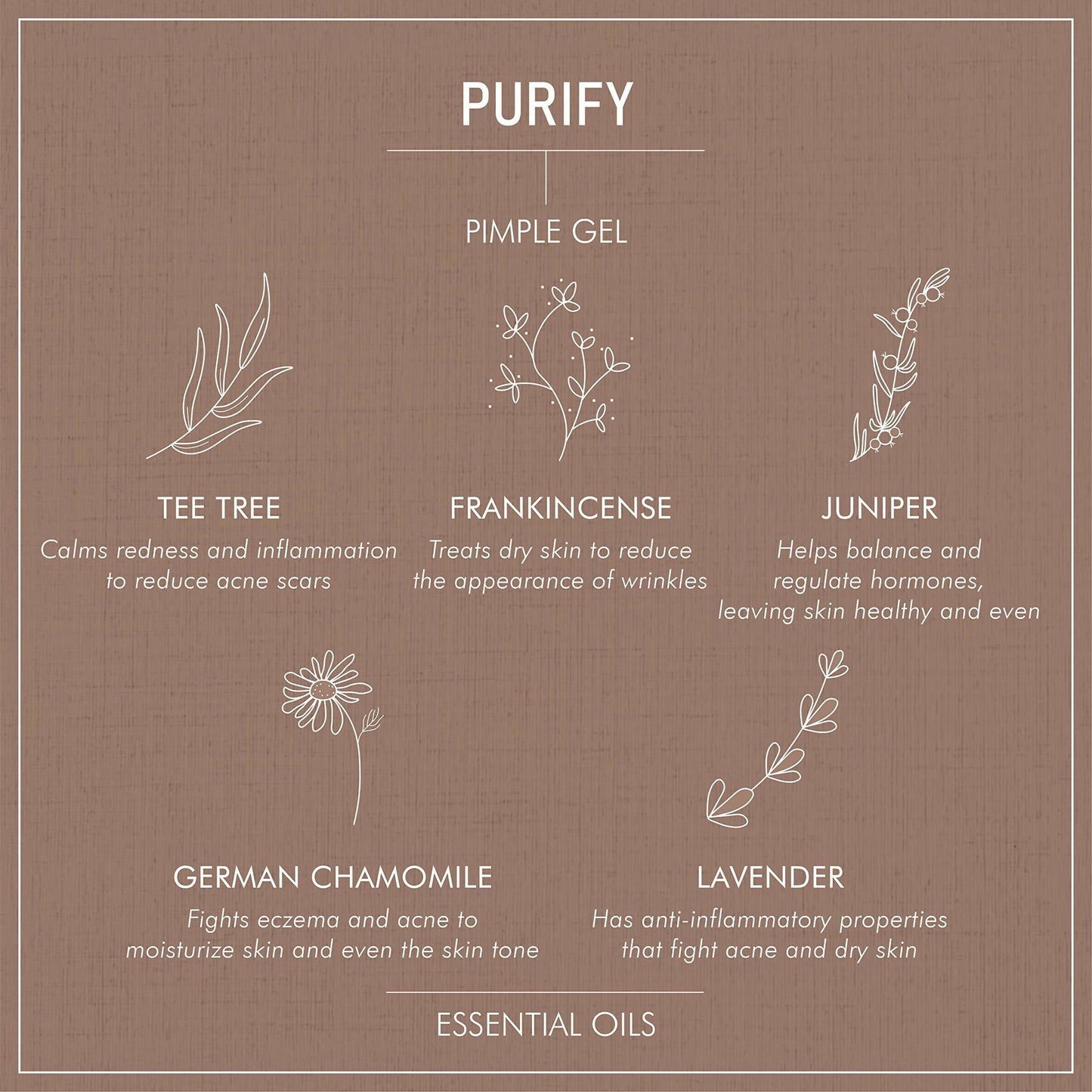 Secret Alchemist Purify Pimple Gel